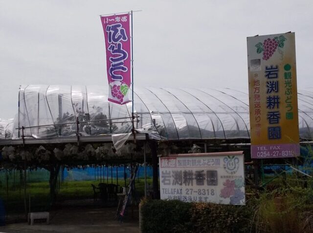 岩渕耕香園・ぶどう園