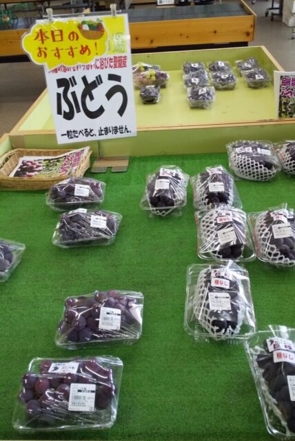 聖籠町地場物産館ぶどう販売種なし巨峰