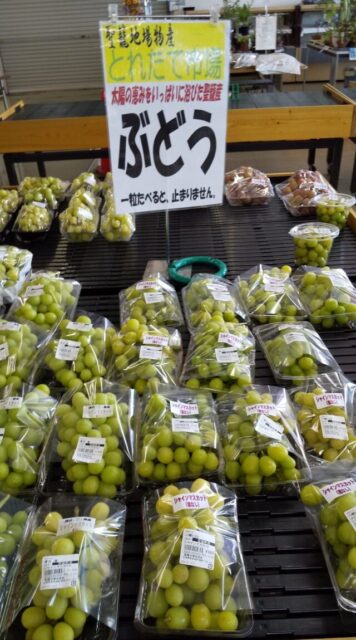 聖籠町地場物産館シャインマスカット